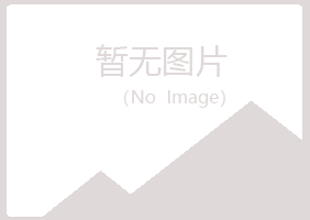 山城区伤口邮政有限公司